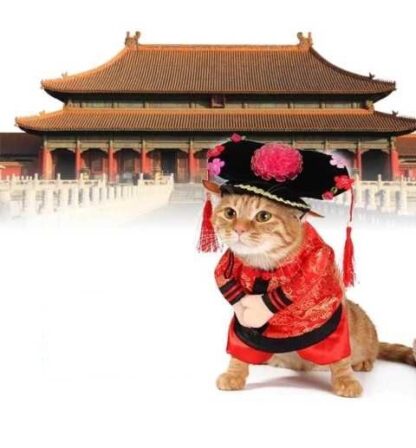 Auskie Qing Dynasty Chinese Princess Pet Costume - Image 4
