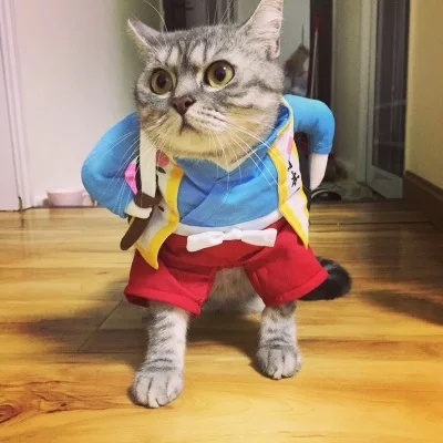 Auskie Momotaro Japanese Samurai Pet Costume - Image 2