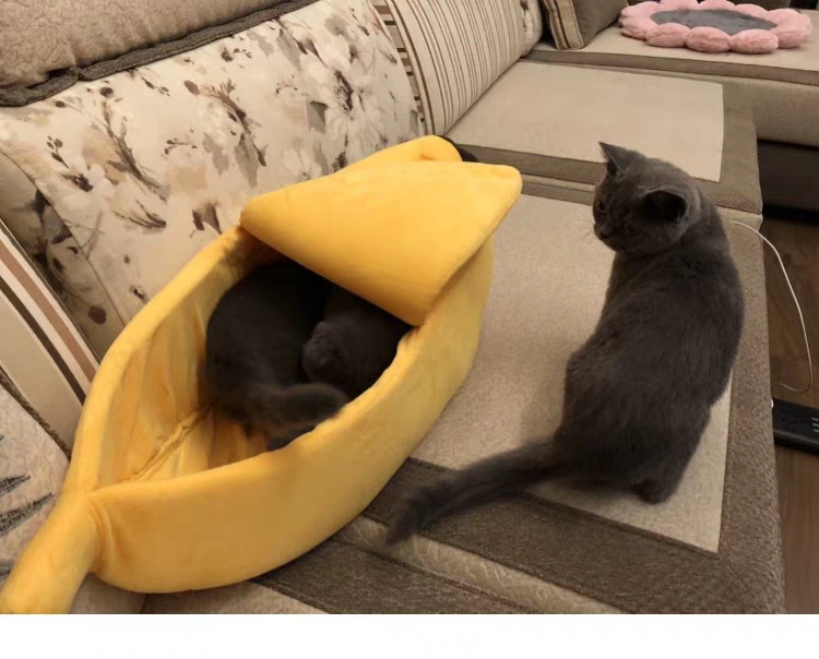 Auskie Banana Cave Pet Bed - Image 3