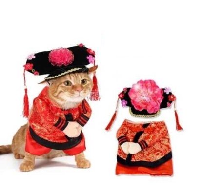 Auskie Qing Dynasty Chinese Princess Pet Costume - Image 3