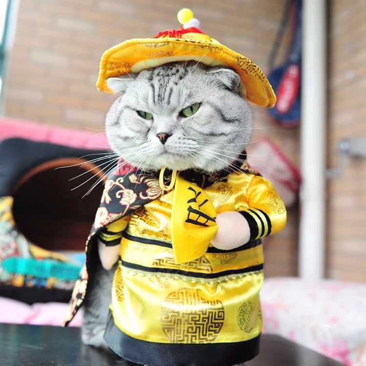 Auskie Qing Dynasty Chinese Emperor Pet Costume - Image 3