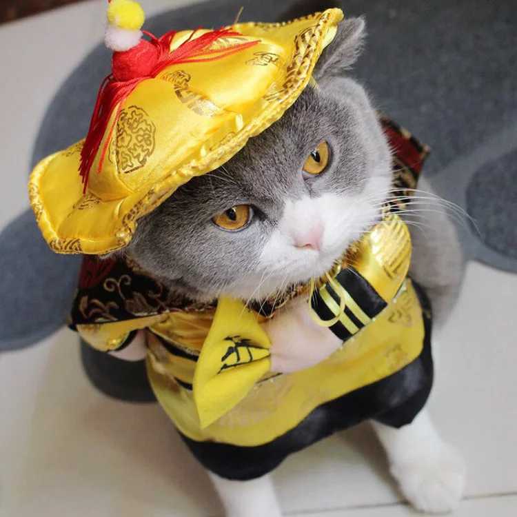 Auskie Qing Dynasty Chinese Emperor Pet Costume - Image 4