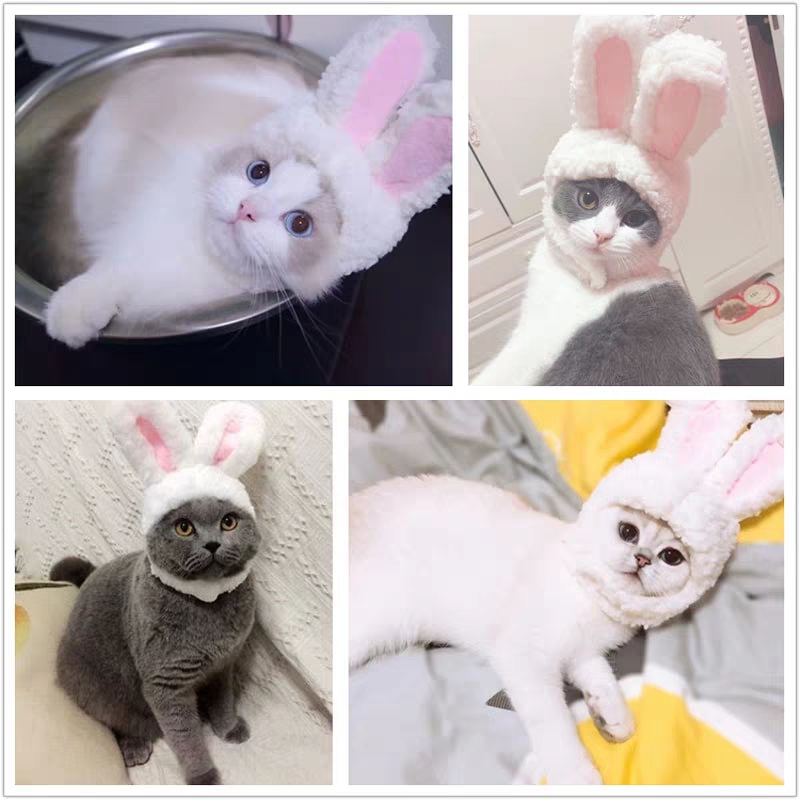 Auskie Bunny Pet Head Gear - Image 2