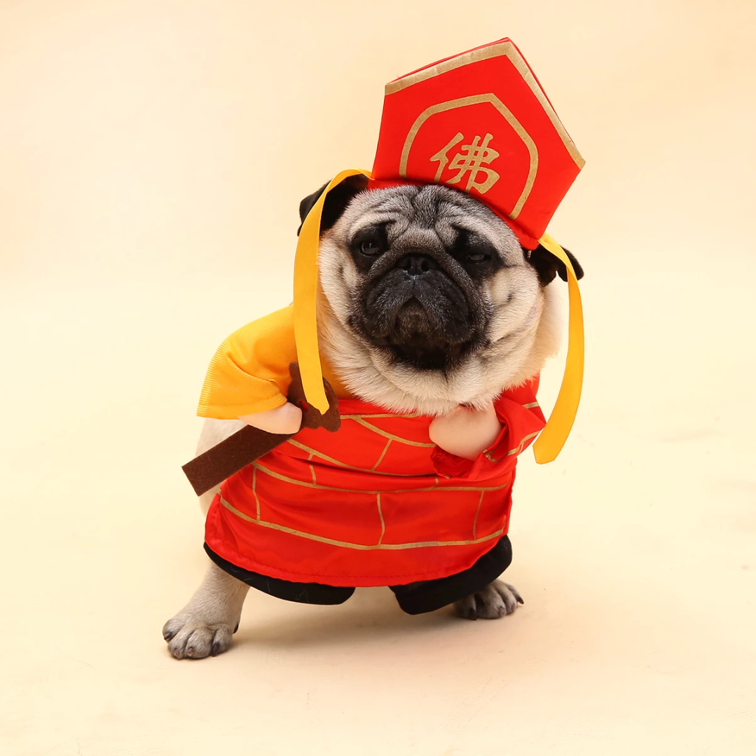 Auskie Journey to the West Tang Sanzang Pet Costume
