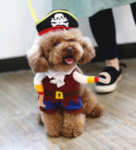 Auskie Pirate Pet Costume