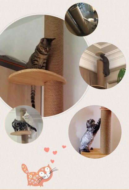 Auskie Floor-to-Ceiling Cat Tree Scratch Pole Cat Pillar Condo - Image 2