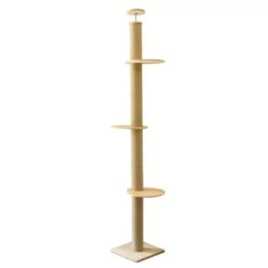 Cat Pillar Image