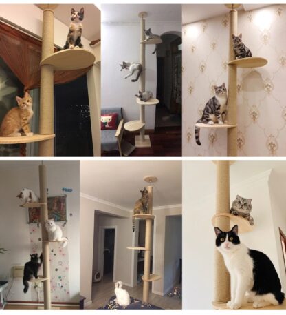 Auskie Floor-to-Ceiling Cat Tree Scratch Pole Cat Pillar Condo - Image 9