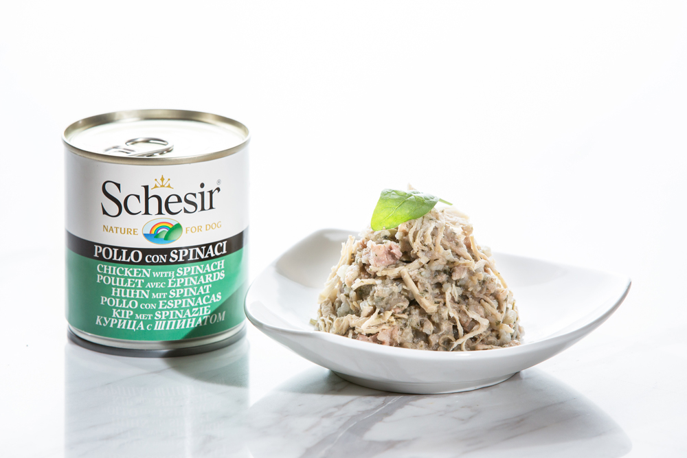 Schesir Chicken with Spinach Canned Dog Food - Image 2