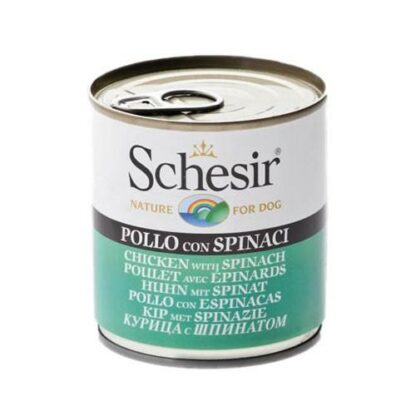 Schesir Chicken with Spinach Canned Dog Food