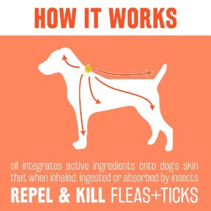 Tropiclean Natural Flea & Tick Spot-On Treatment For Large Dogs - Image 5