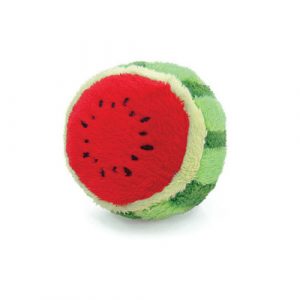 Petz Route: Watermelon Assorted Toy