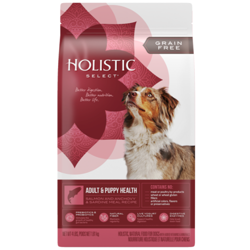 holistic grain free dog food