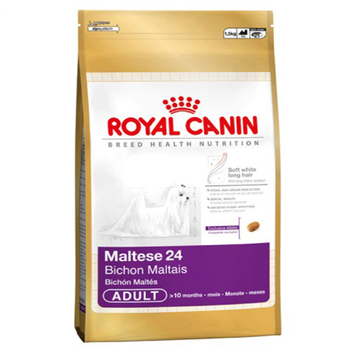 Royal Canin Maltese Adult 24 Dry Dog Food APetMart