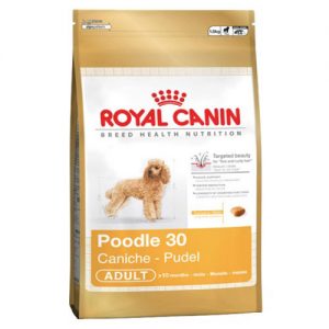Royal Canin Poodle Adult 30 Dry Dog Food