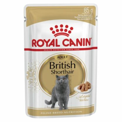 Royal Canin Adult British Shorthair in Gravy Wet Cat Pouches, 85g