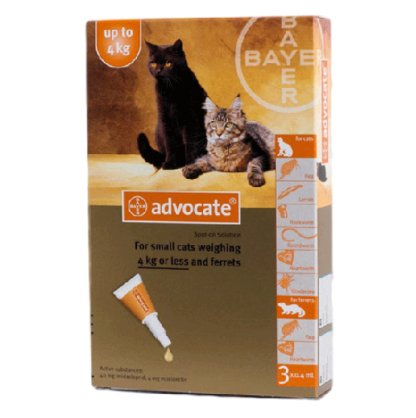 Advocate For Small Cats (Under 4kg)