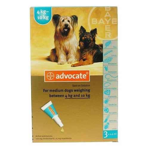 advocate dog medium
