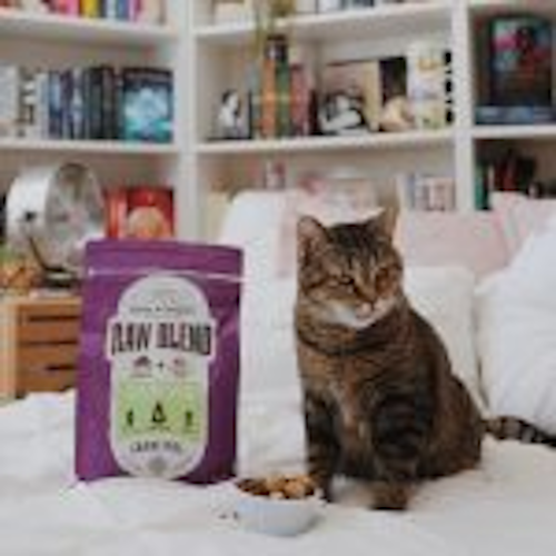 Stella & Chewy's Freeze-Dried Raw Blend Kibble Chicken Grain-Free Dry Cat Food - Image 2