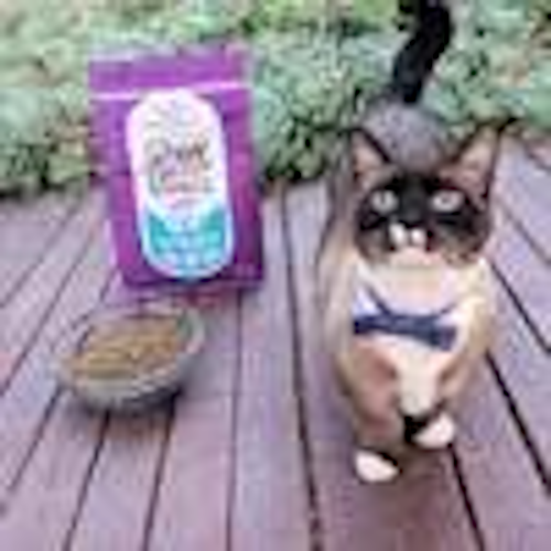 Stella & Chewy's Freeze-Dried Raw Coated Kibble Salmon Dry Cat Food - Image 4