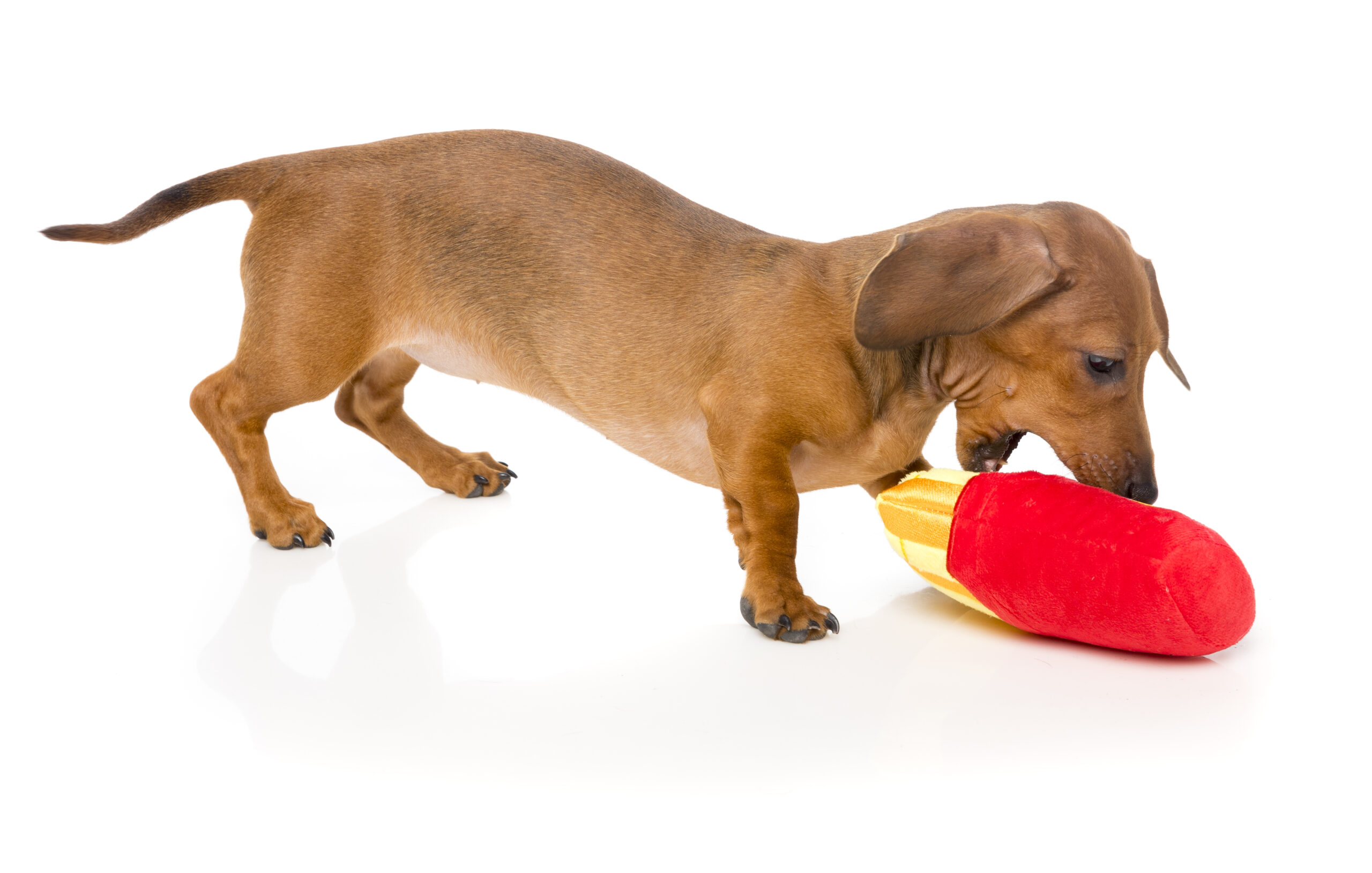 FuzzYard Plush Toys For Dogs - French Fries - Image 2