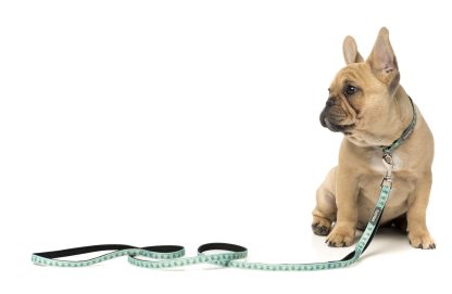 Fuzzyard Dog Lead (2 Sizes) - Tucson - Image 2