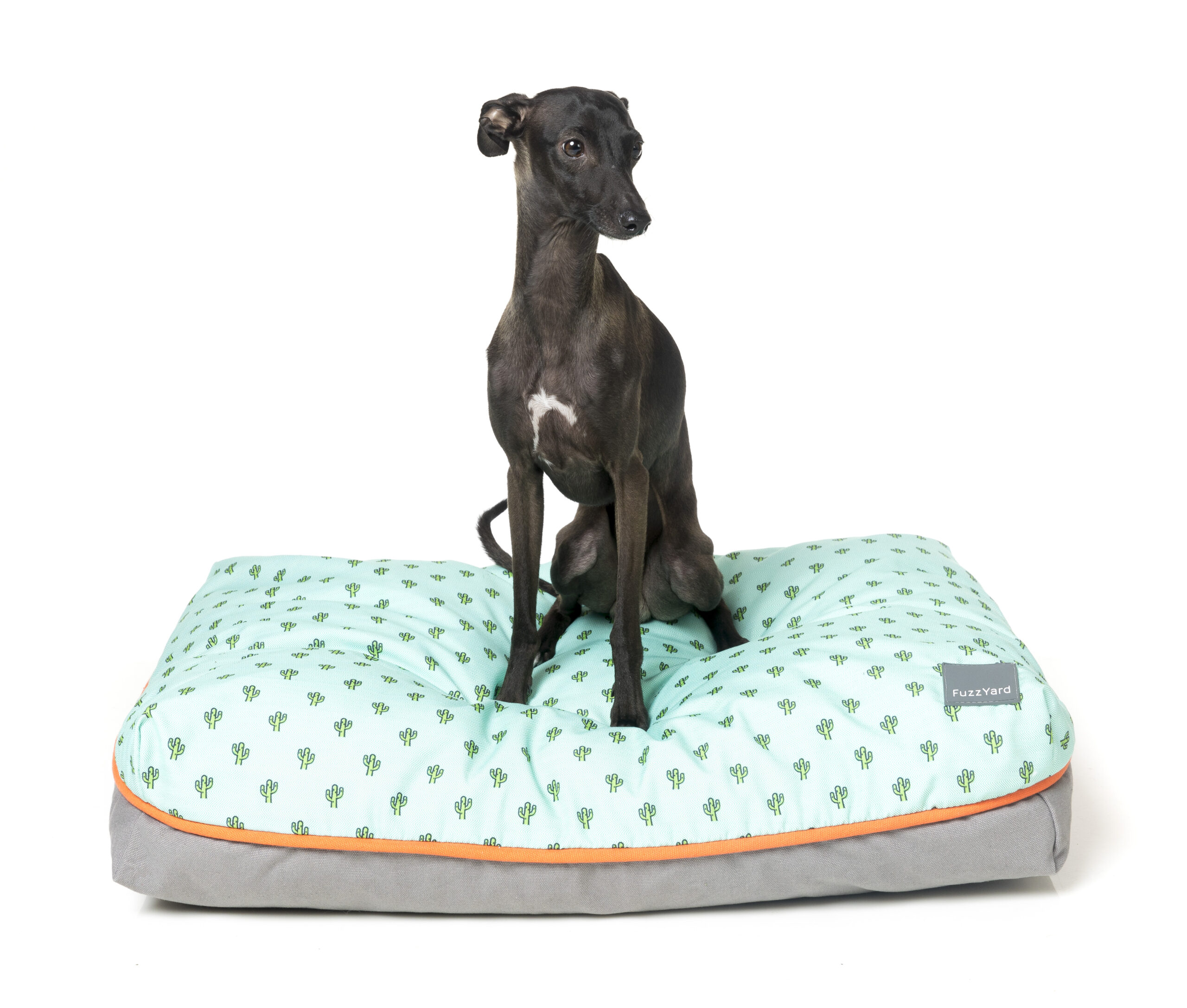 FuzzYard Big Dreamer Pillows (3 Sizes) Tucson