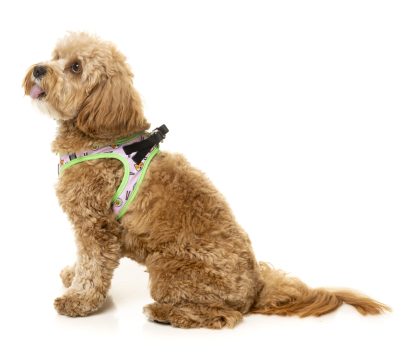 FuzzYard Step-In Harness For Dogs (5 Sizes) - Sushiba - Image 3