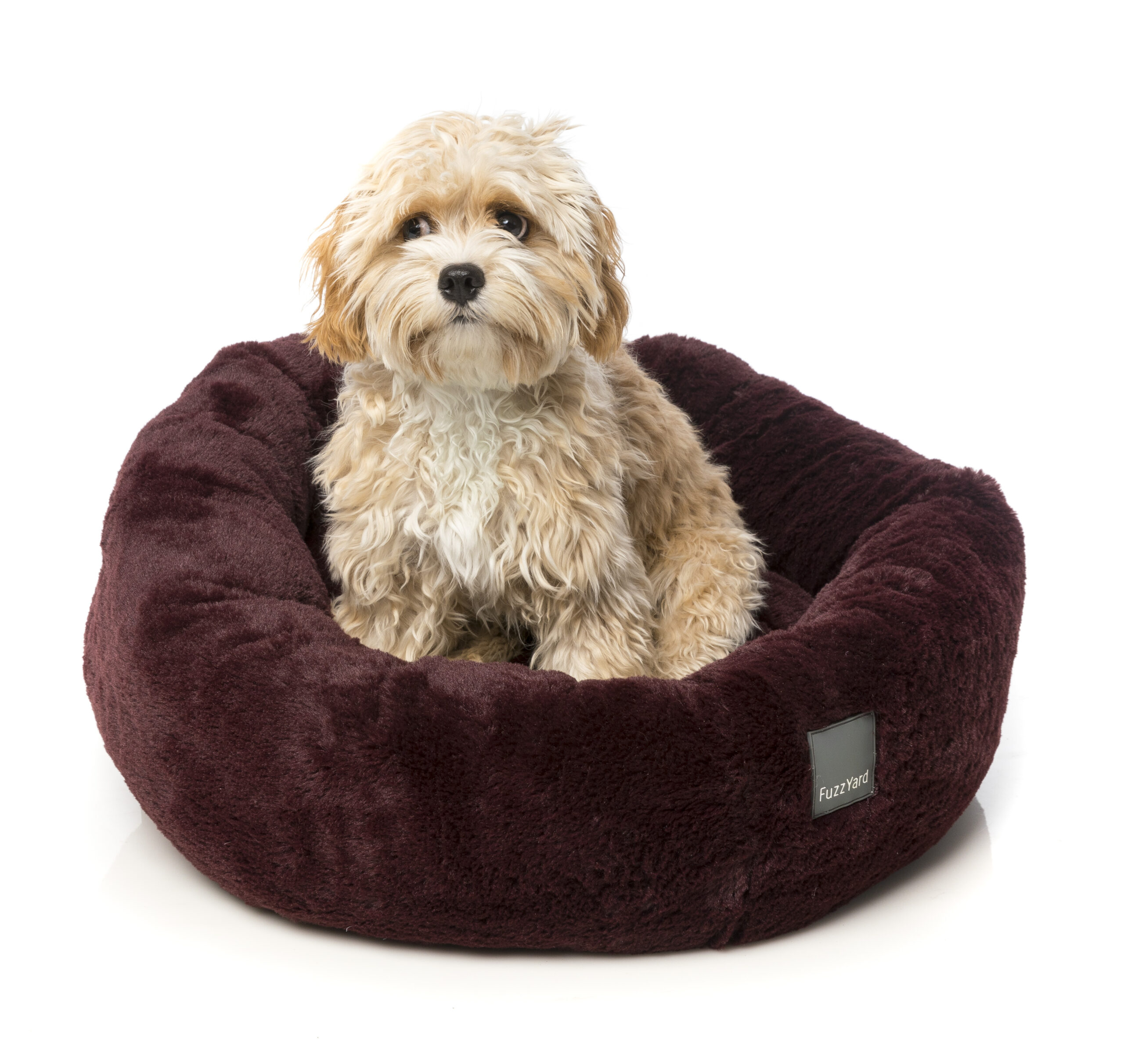 FuzzYard Eskimo Beds (3 Sizes) Merlot