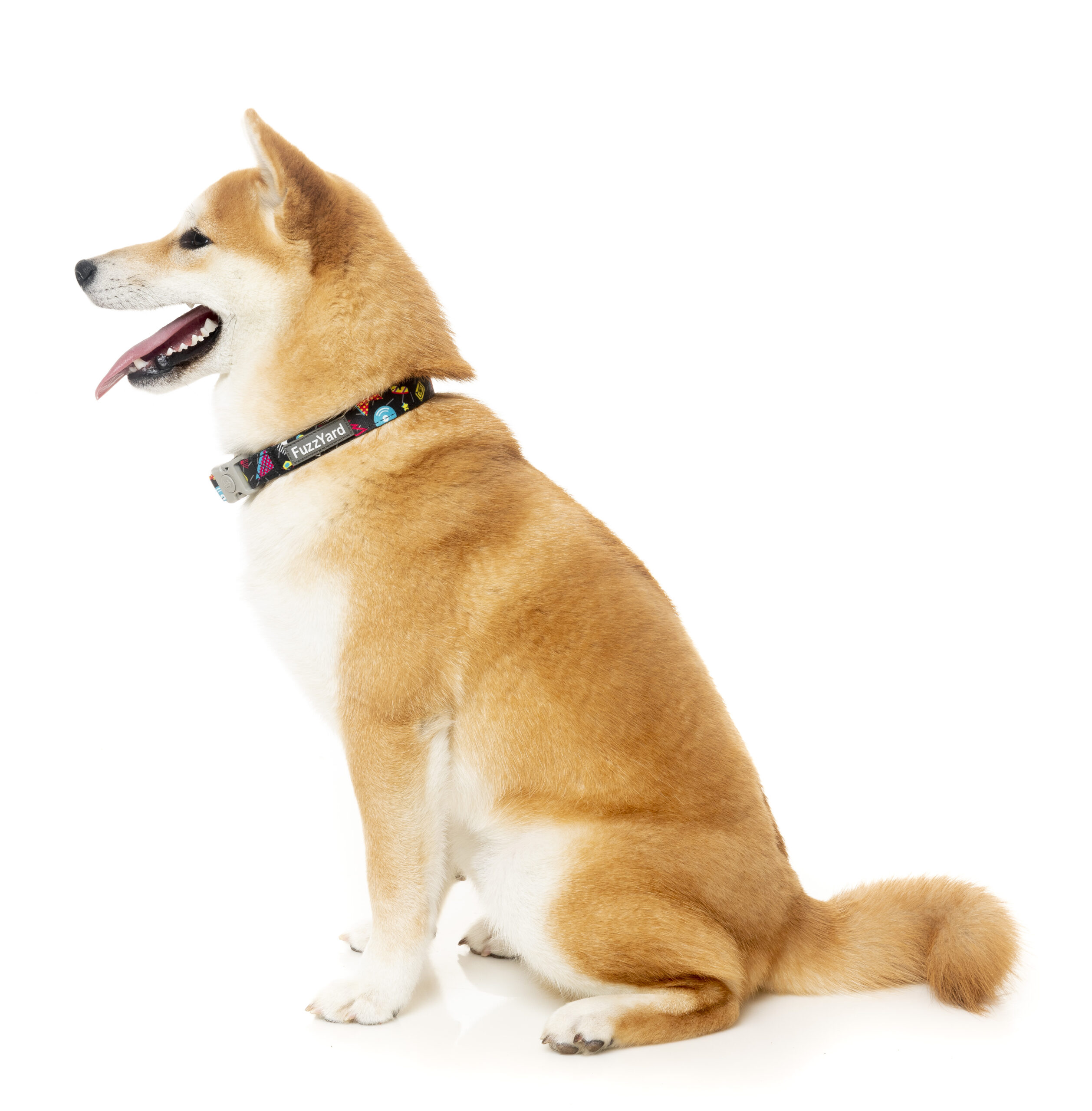 Fuzzyard Dog Collar (3 Sizes) - Bel Air - Image 2