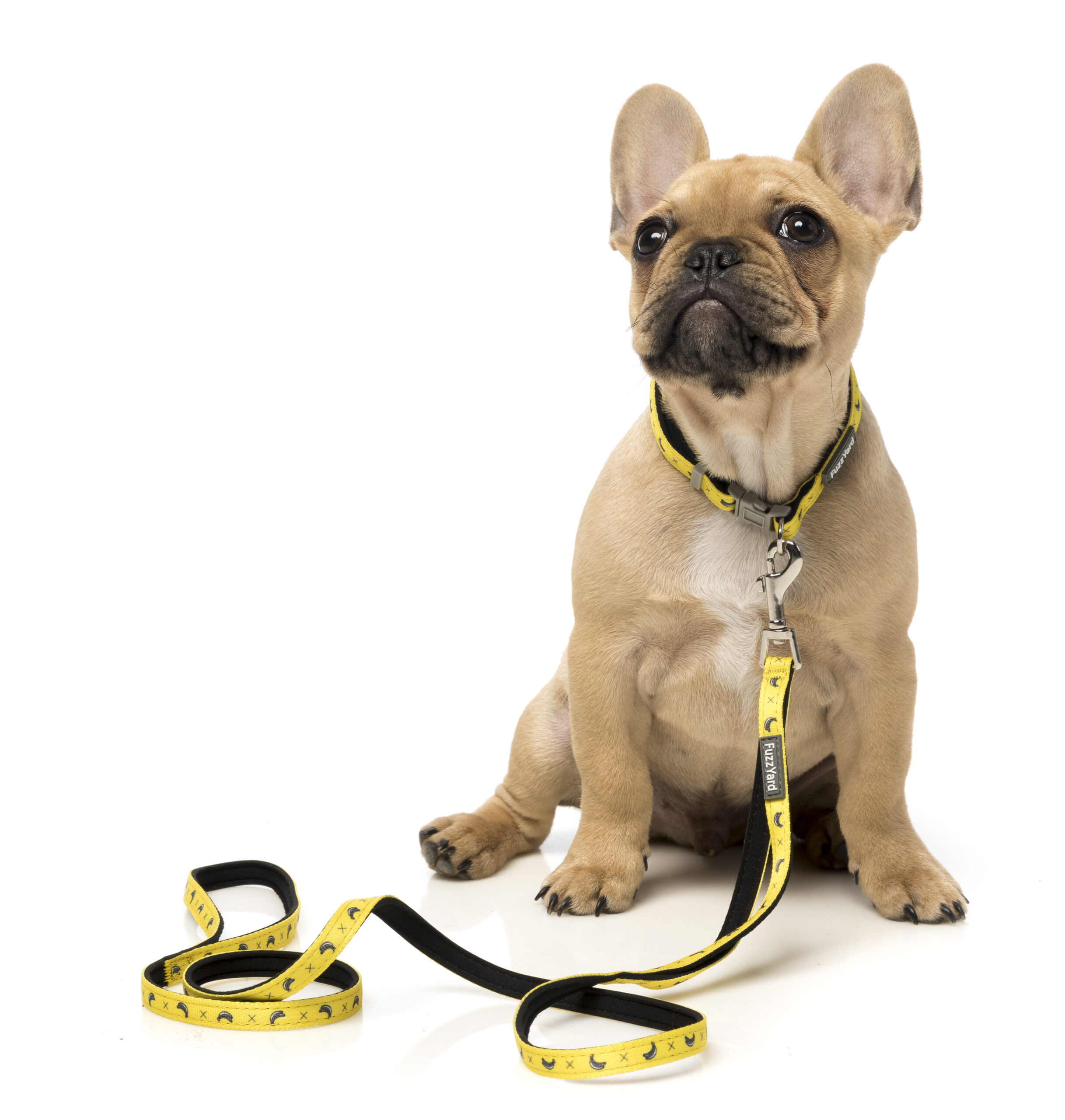 Fuzzyard Dog Lead (2 Sizes) - Monkey Mania - Image 2