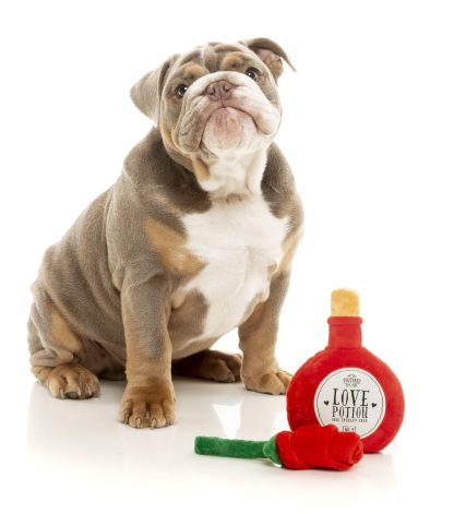 FuzzYard Plush Toys For Dogs - I ❤︎ you Potion / Rose (2 Per Pack) - Image 2