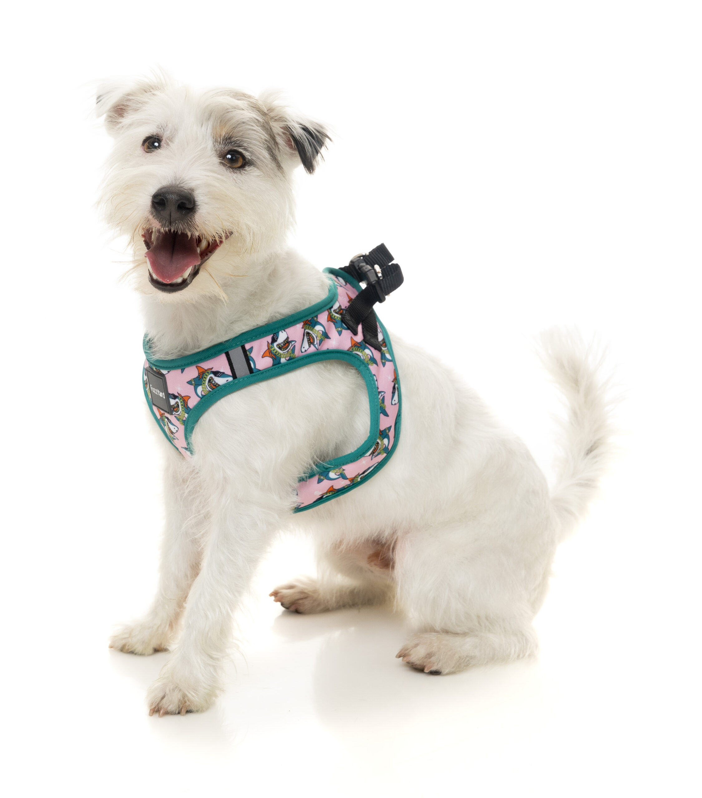 FuzzYard Step-In Harness For Dogs (5 Sizes) - LL Cool Jaws - Image 3