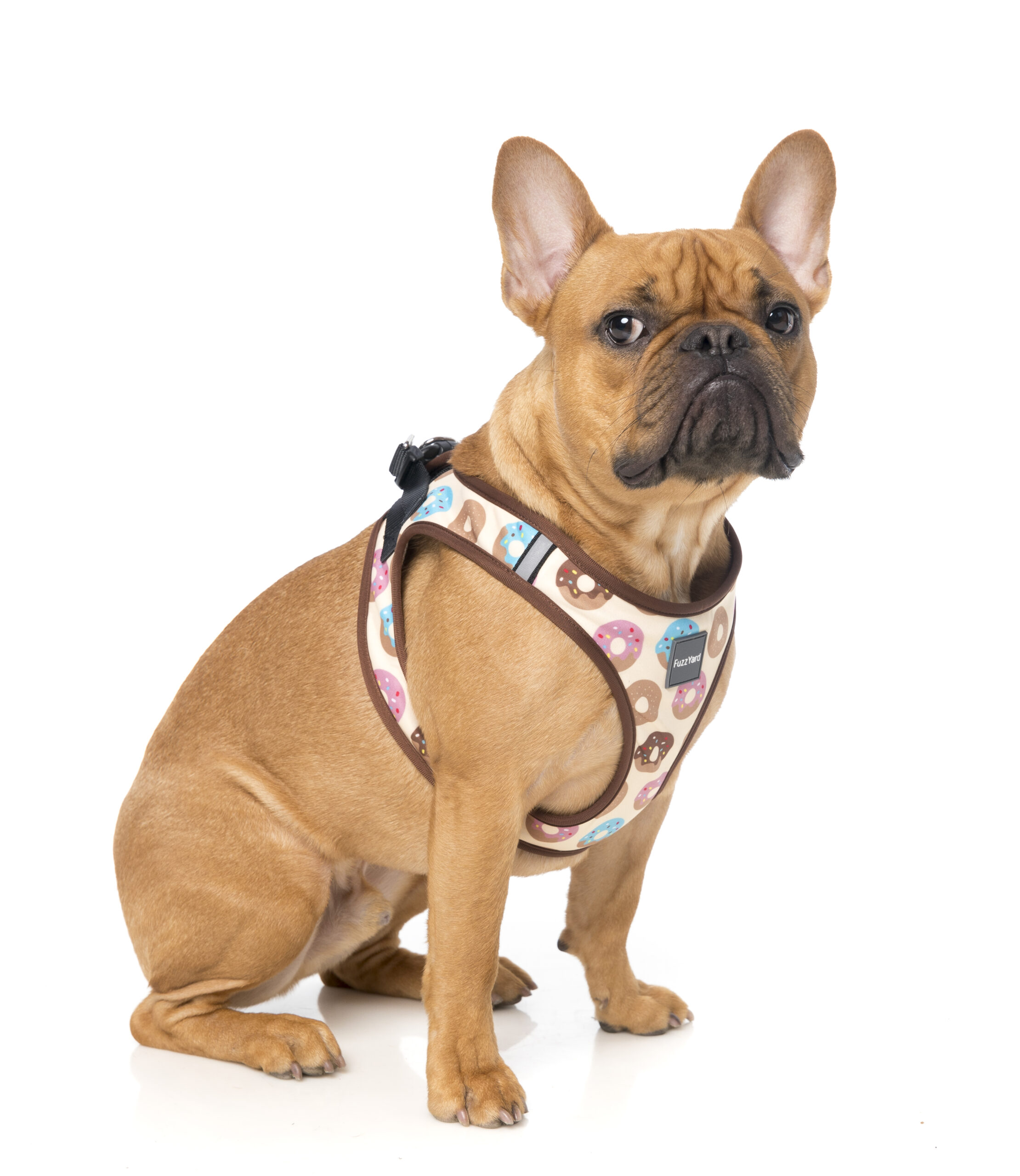 FuzzYard Step-In Harness For Dogs (5 Sizes) - Go Nuts - Image 3