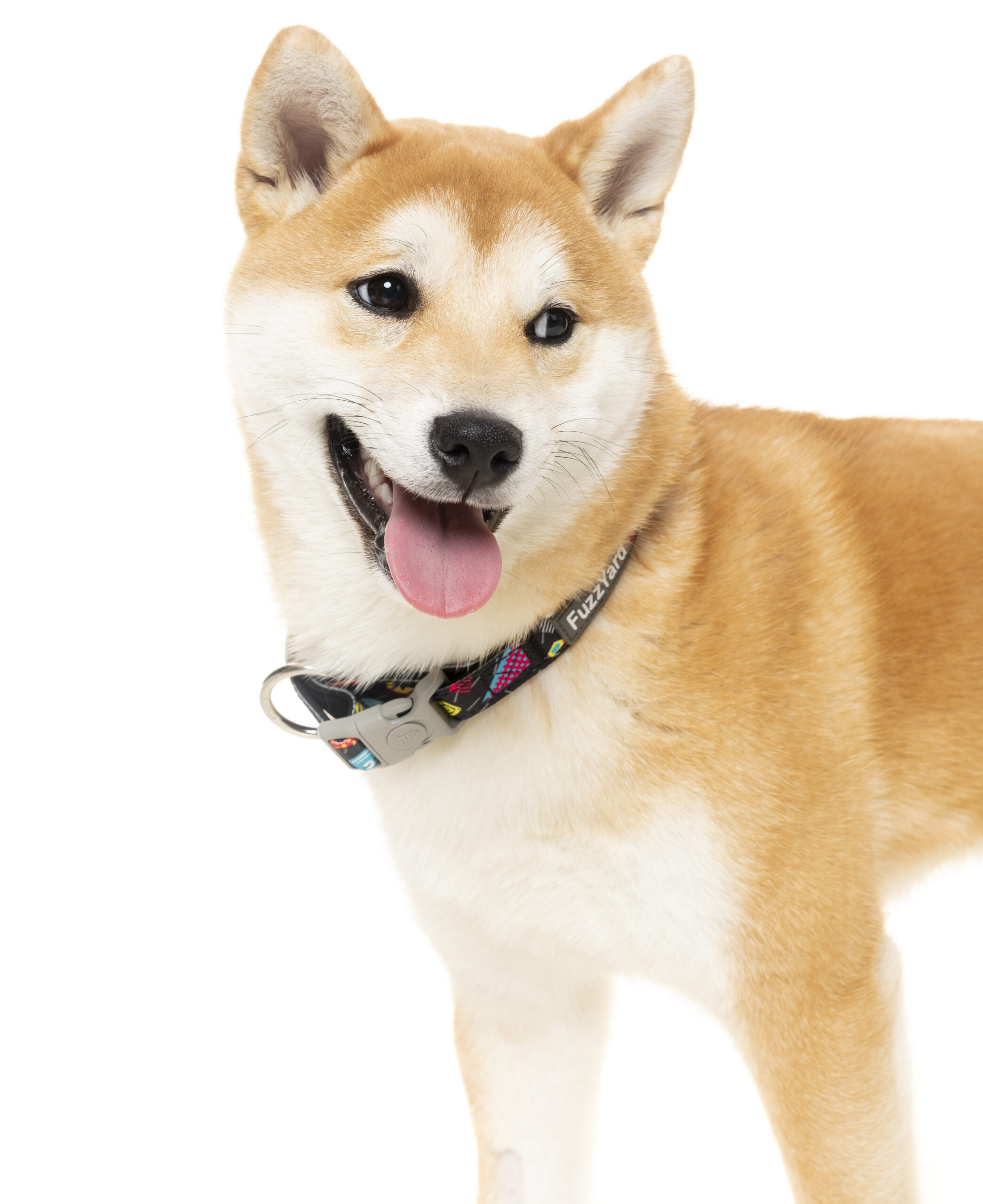 Fuzzyard Dog Collar (3 Sizes) - Bel Air - Image 3