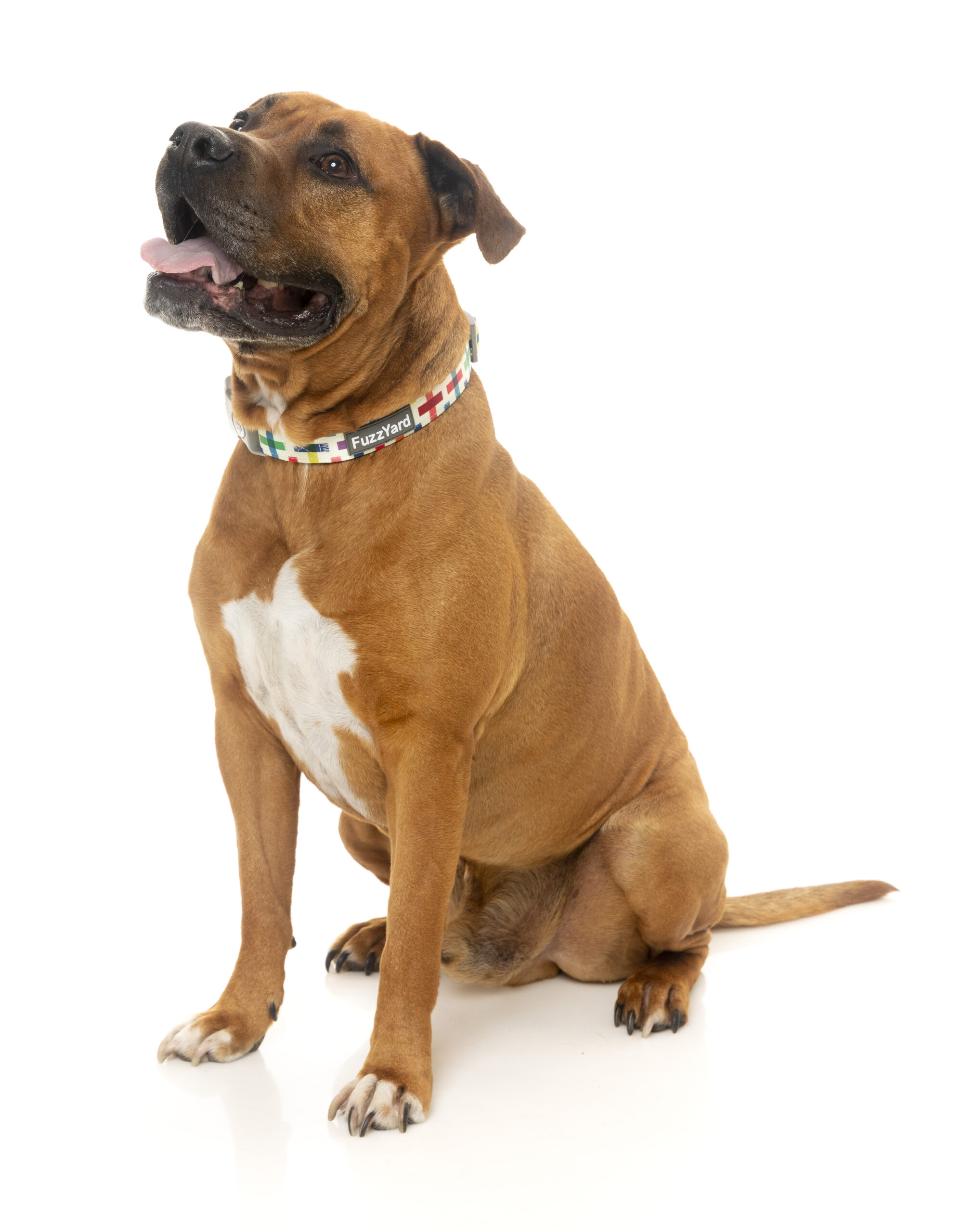 Fuzzyard Dog Collar (3 Sizes) - Jenga - Image 2