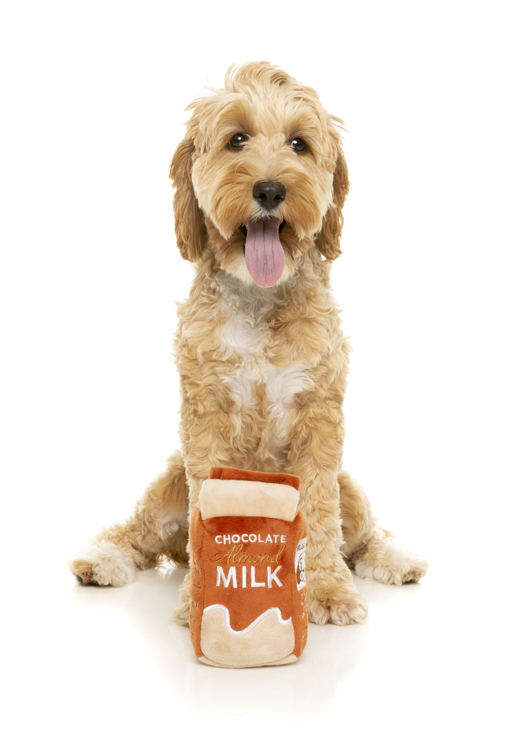 FuzzYard Plush Toys For Dogs - Chocolate Almond Milk - Image 2
