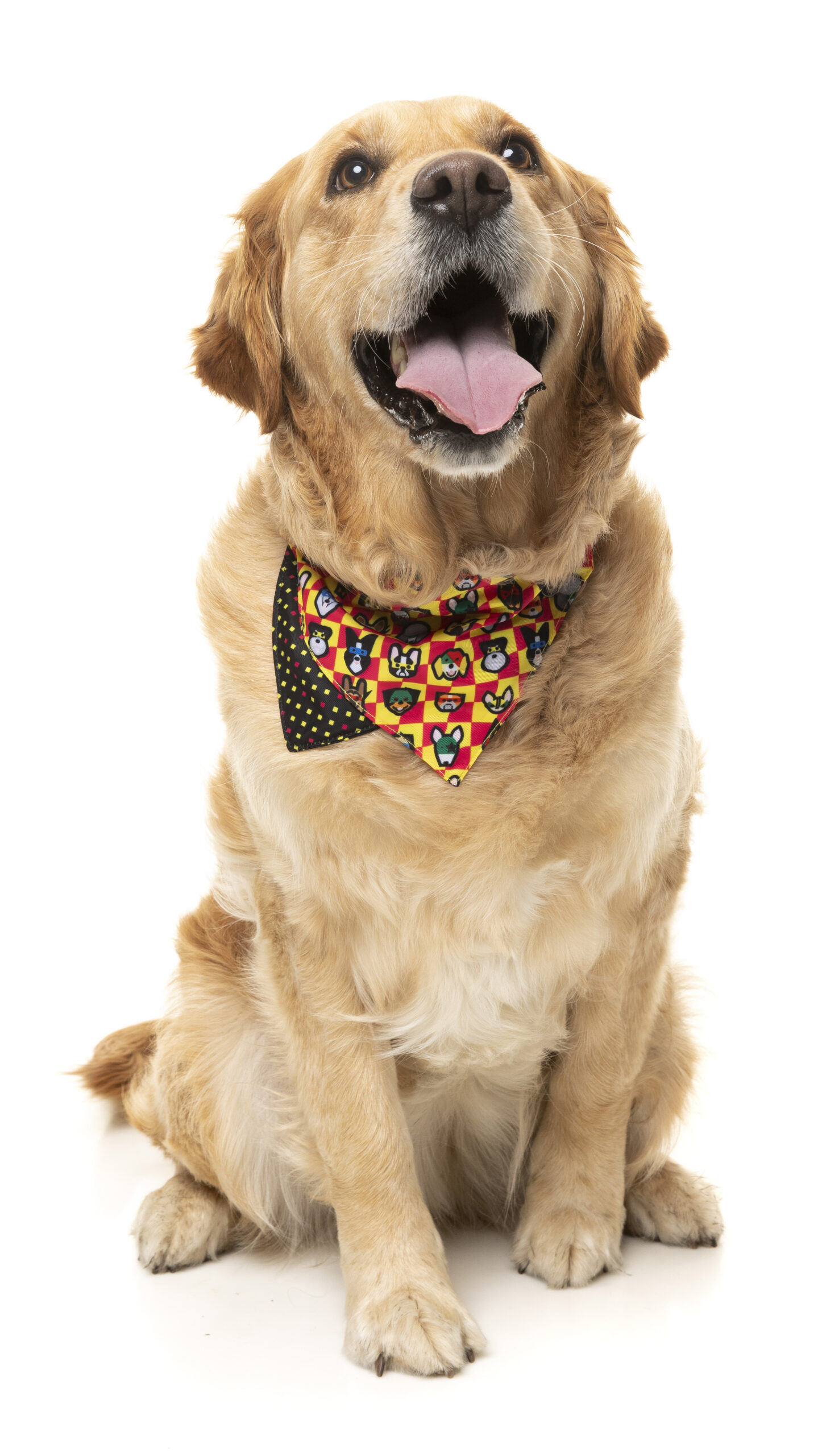 FuzzYard Pet Bandana (Doggoforce) - Image 3