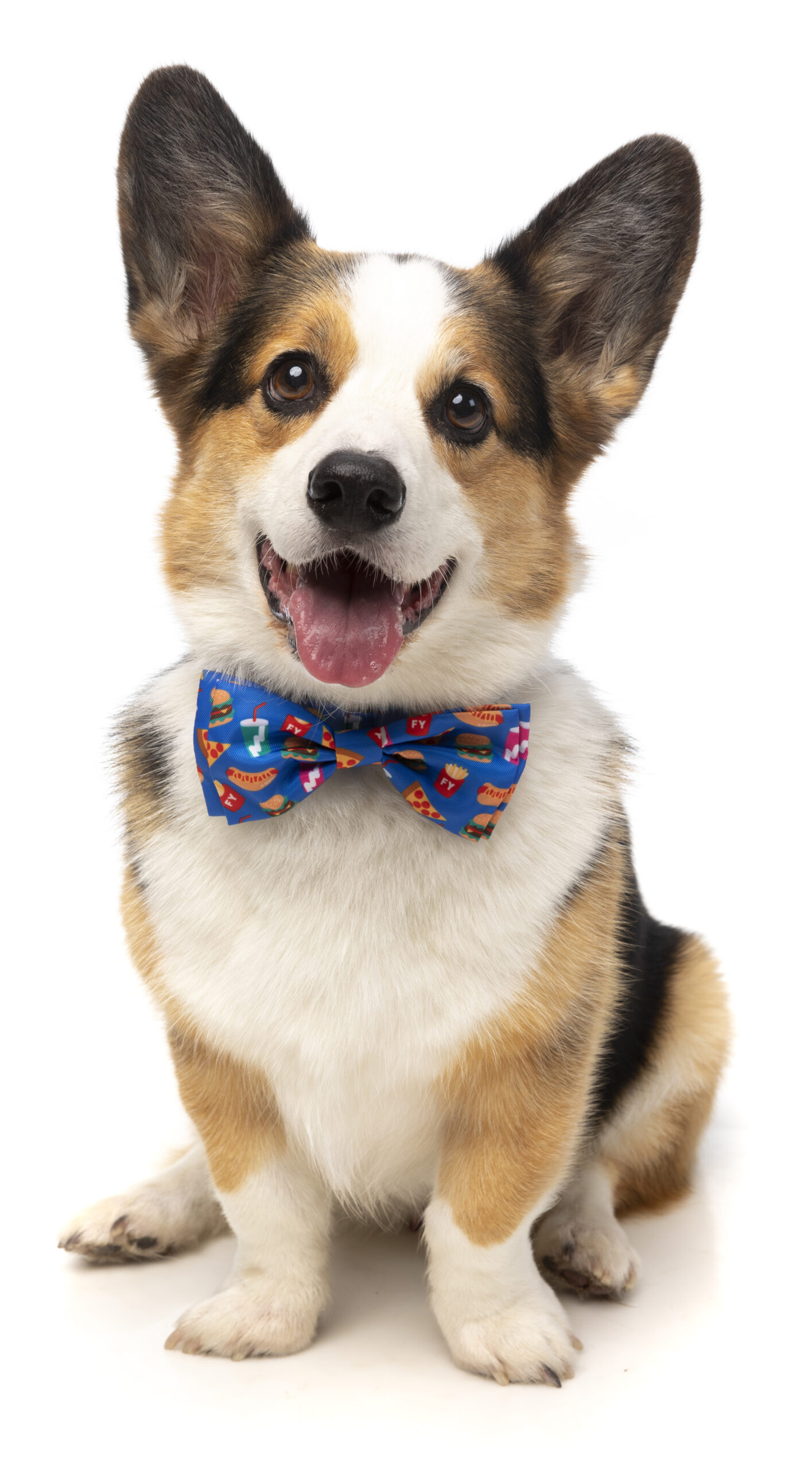 Fuzzyard Pet Bow Tie (Supersize Me) - Image 3