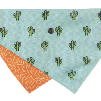 FuzzYard Pet Bandana (Tucson)