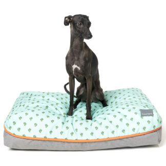 FuzzYard Big Dreamer Pillows (3 Sizes) Tucson