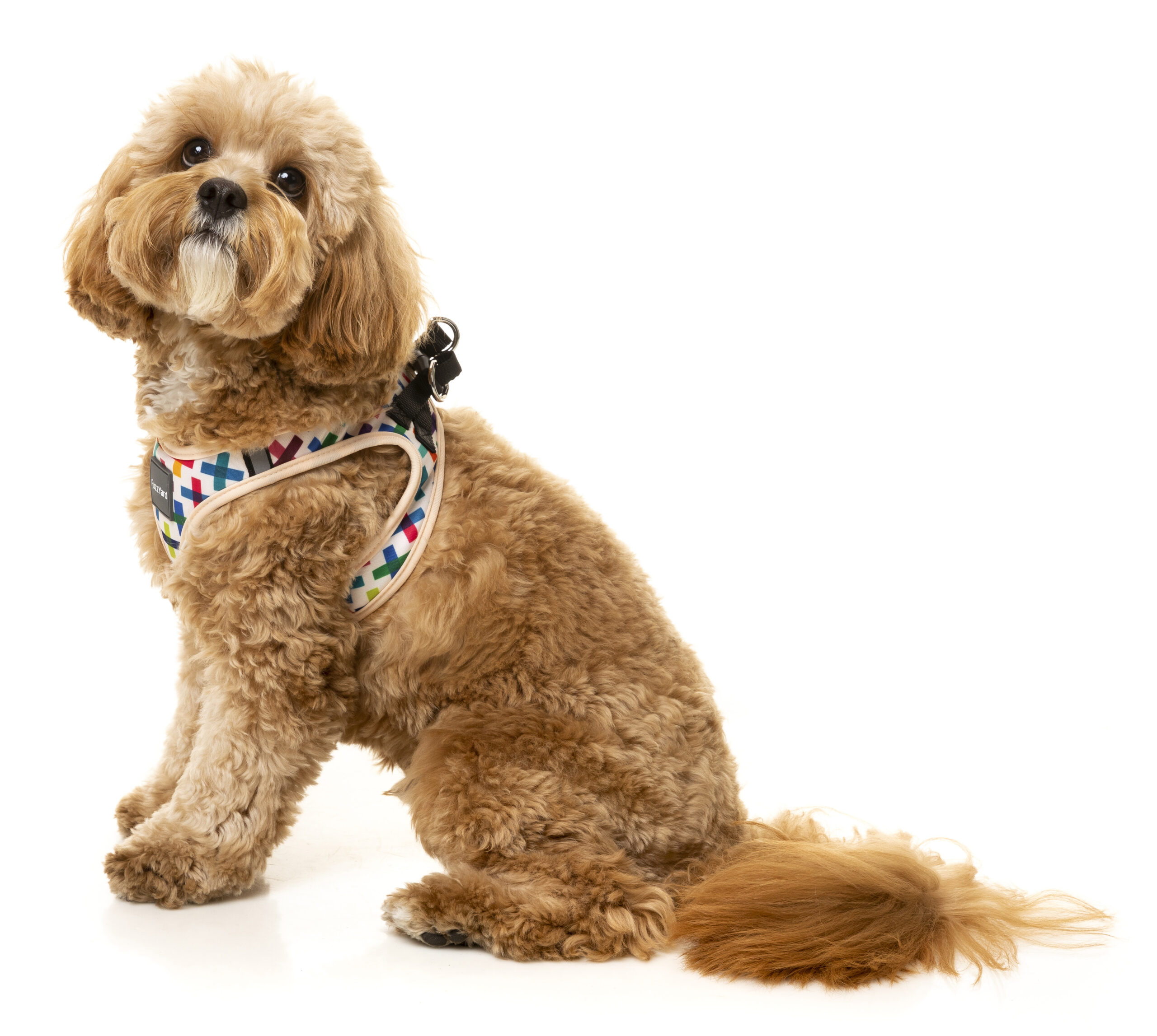 FuzzYard Step-In Harness For Dogs (5 Sizes) - Jenga - Image 3