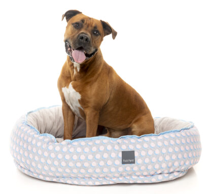 FuzzYard Reversible Beds (3 Sizes) Dippin'