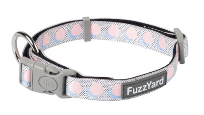 Fuzzyard Dog Collar (3 Sizes) - Dippin'