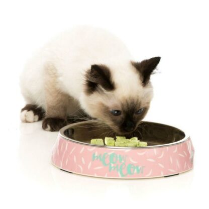 FuzzYard Featherstorm Melamine Cat Bowl - Image 2