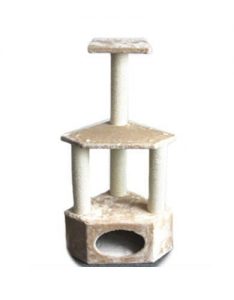 Pawise Cat Post Rome II