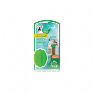 Fresh Breath Fresh N’ Fun Dental Chew Toy