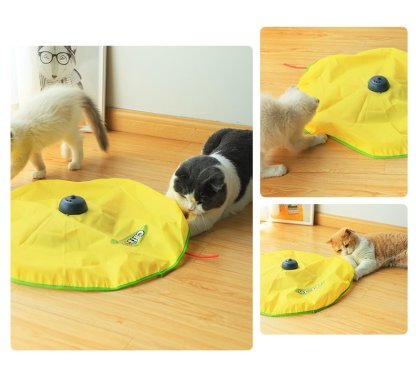 Auskie Undercover Mouse Interactive Cat Toy - Image 5