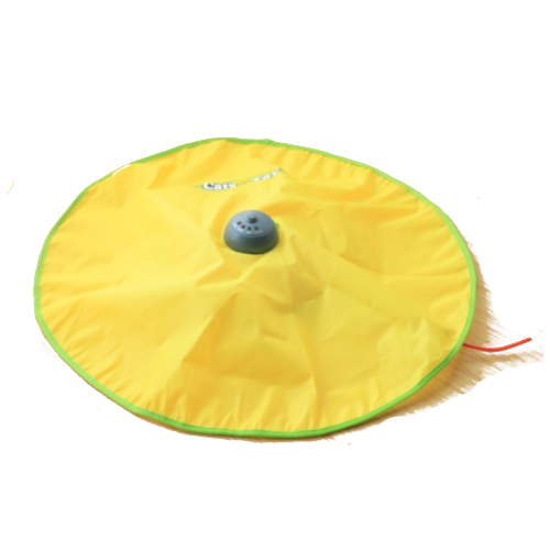 Auskie Undercover Mouse Interactive Cat Toy