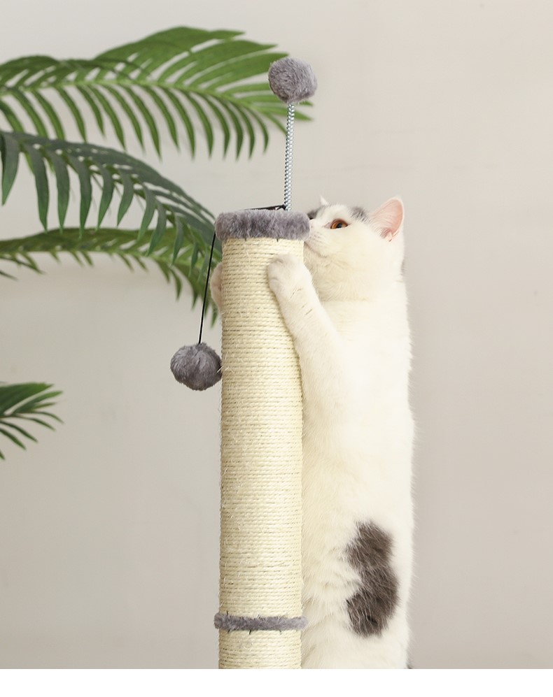 Auskie 90 Cat Scratch Pole - Image 4